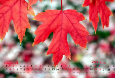 ​关于恋爱观的名言81句