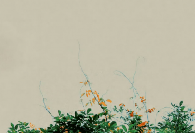 ​带凉字的网名女生