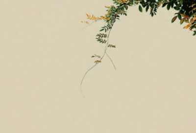 ​带土偏旁的网名女生