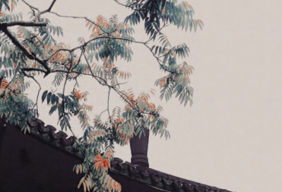 ​带小字的王者网名女生霸气