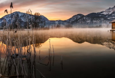 ​带小董的昵称女生网名