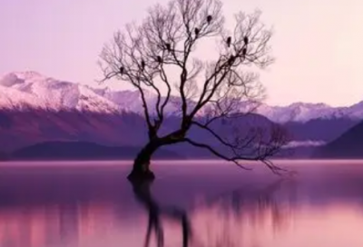 ​女生网名带星月的名字大全