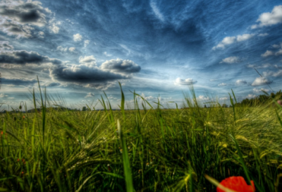 ​带安稳字的女生网名