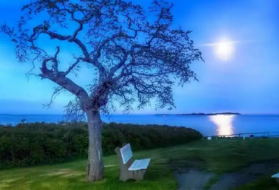 ​带叠子的网名大全女生