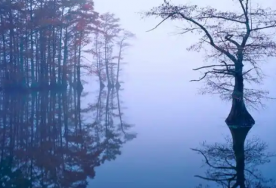 ​带亚字的独特网名女生