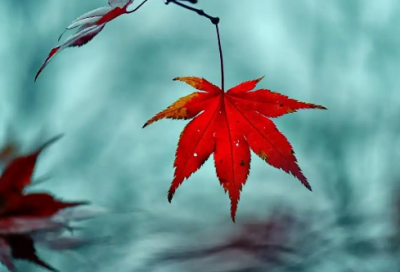 ​女生带米字的网名