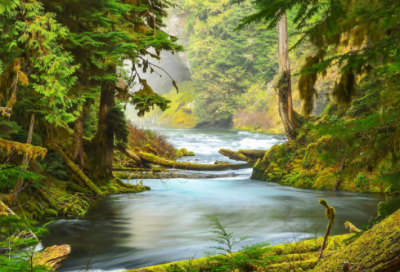 ​带宋姓有趣的网名女生