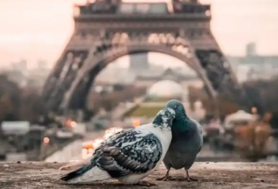 ​带小狐的网名女生