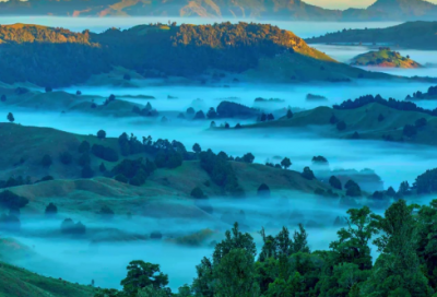 ​女生艺名带新的字网名