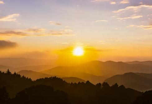 1768744517147537.png image.png