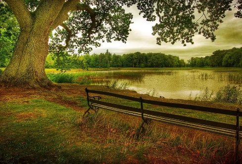 1768745511201587.png image.png