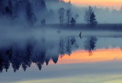 1768745842870403.png image.png