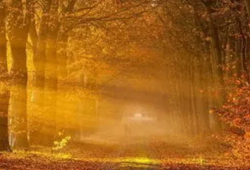 1768746173371549.png image.png