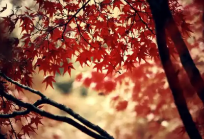 ​哄女孩开心的话 哄女孩开心的