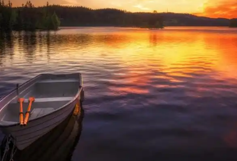 1768763515283618.png image.png