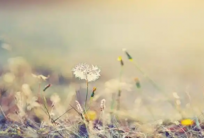 ​让人暖心窝的话86句