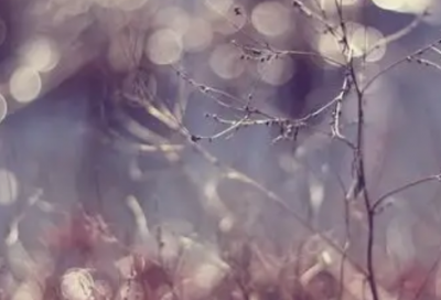 ​分手后祝福对方的话85句