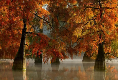 ​2026感恩父亲节的语句最新