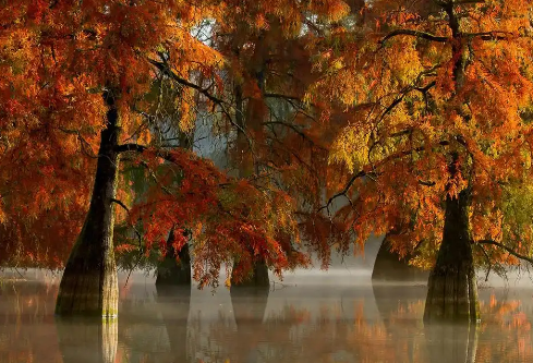 1768765006824056.png image.png