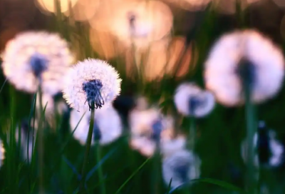 ​爱女朋友的话97句