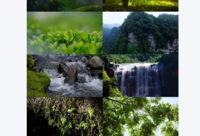 ​祝福年轻人生日快乐82句