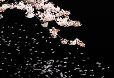 ​qq空间给兄弟留言75句