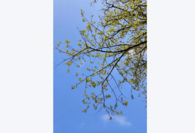 ​老人生日祝福74句