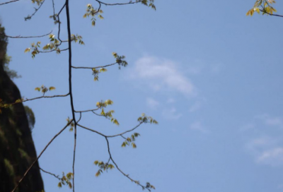 ​情侣之间的情话短句83句