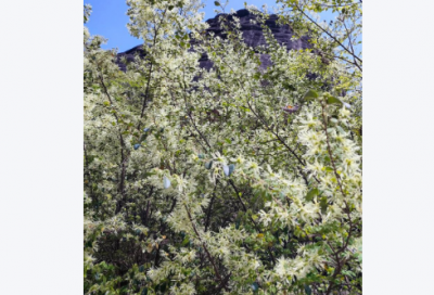 ​跟女生表白最感动的话84句