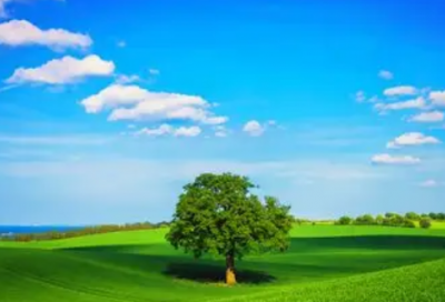 ​七夕情人节祝福短语80句