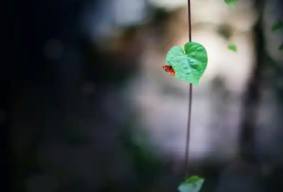 ​一些很有道理的话81句