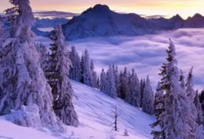 ​表扬工作认真的话语85句