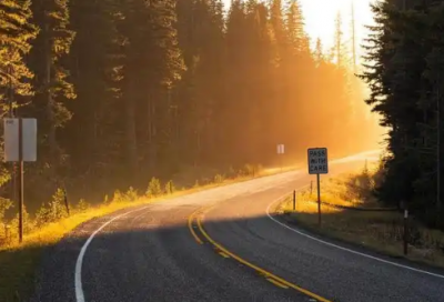 ​关于友情的唯美段落87句