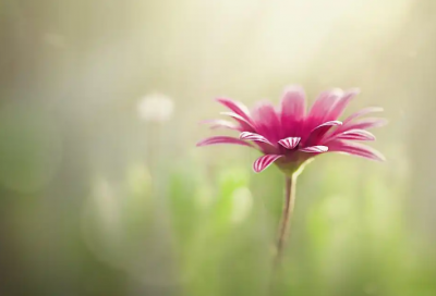 ​男孩追女孩的话语83句