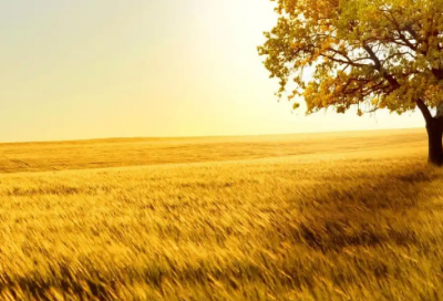 ​想开的话93句